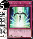 遊戯王カード スターライト・ロード シークレットレア PRISMATIC ART COLLECTION PAC1 Yugioh! | 遊戯王 カード プリズマティック・アート・コレクション 通常罠 シークレット レア