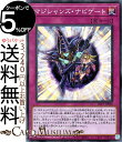 遊戯王カード マジシャンズ ナビゲート ノーマルパラレル PRISMATIC ART COLLECTION PAC1 Yugioh 遊戯王 カード プリズマティック アート コレクション 通常罠 ノーマルパラレル