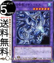 遊戯王カード 召喚獣コキュートス(ノーマル) SELECTION 5 SLF1 Yugioh 遊戯王 カード セレクション5 融合 効果モンスター 水属性 ドラゴン族 ノーマル