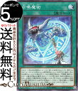 遊戯王カード 召喚魔術(ノーマルパラレル) SELECTION 5 SLF1 Yugioh 遊戯王 カード セレクション5 通常魔法 ノーマルパラレル