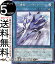 ͷ ᵡݥϡ꡼١(Ρޥ) SELECTION 5 SLF1 Yugioh! | ͷ  쥯5 ˡ Ρޥ