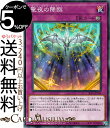 遊戯王カード 聖夜の降臨(ノーマル) SELECTION 10 SLT1 Yugioh 遊戯王 カード セレクション10 ホーリーナイツ アドベント 永続罠 ノーマル