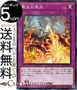 遊戯王カード 聖なる煌炎(ノーマル) SELECTION 10 SLT1 Yugioh 遊戯王 カード セレクション10 ホーリーナイツ ブラスト 永続罠 ノーマル