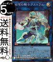 遊戯王カード 双穹の騎士アストラム(スーパーレア) RARITY COLLECTION QUARTER CENTURY EDITION （RC04） | ジャックナイツ パラディオン リンク・効果モンスター 光属性 サイバース族 スーパー レア