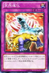 遊戯王カード 突然進化 エクストラ パック 2012 EP12 YuGiOh! | 遊戯王 カード エヴォルダー 通常罠