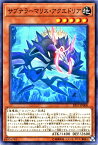 遊戯王カード サブテラーマリス・アクエドリア エクストラ パック 2017 EP17 YuGiOh! | 遊戯王 カード サブテラーマリス アクエドリア サブテラー 地属性 海竜族