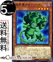 遊戯王カード 極星霊アルヴィース EXTRA PACK 2019 EP19 Yugioh 遊戯王 カード エクストラ パック 2019 効果モンスター 闇属性 魔法使い族 ノーマル