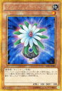 遊戯王カード グローアップ・バルブ ゴールドシークレットレア ゴールドパック2016 GP16 YuGiOh! | 遊戯王 カード グローアップ バルブ 地属性 植物族 ゴールド シークレットレア