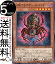 遊戯王カード 分裂するマザー スパイダー(ノーマル) PREMIUM PACK 2023（23PP） 効果モンスター 闇属性 昆虫族 ノーマル