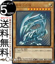 遊戯王カード 青眼の白龍(ウルトラレア) QUARTER CENTURY CHRONICLE side：PRIDE（QCCP） ブルーアイズ ホワイト ドラゴン 通常モンスター 光属性 ドラゴン族 ウルトラ レア