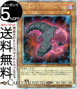 遊戯王カード DDネクロ・スライム(25th シークレットレア) QUARTER CENTURY CHRONICLE side:PRIDE(QCCP) | 効果...