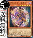 遊戯王カード 幻想の見習い魔導師(ウルトラレア) QUARTER CENTURY CHRONICLE side：UNITY（QCCU） クォーター センチュリー クロニクル 効果モンスター 闇属性 魔法使い族 ウルトラ レア