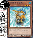 遊戯王カード 氷結界の守護陣 ストラクチャーデッキ 凍獄の氷結界 SD40 Yugioh 遊戯王 カード 効果モンスター 水属性 水族 シングルカード