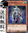 遊戯王カード 氷結界の軍師 ストラクチャーデッキ 凍獄の氷結界 SD40 Yugioh 遊戯王 カード 効果モンスター 水属性 魔法使い族 シングルカード