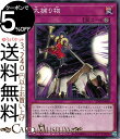 遊戯王カード 大捕り物 ストラクチャーデッキ 凍獄の氷結界 SD40 Yugioh! | 遊戯王 カード 永続罠 シングルカード(3)