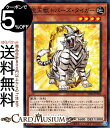 遊戯王カード 宝玉獣 トパーズ タイガー ノーマルパラレル ストラクチャーデッキ 宝玉の伝説 SD44 Yugioh 遊戯王 カード 効果モンスター 地属性 獣族 ノーマルパラレル