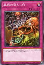 遊戯王カード 蟲惑の落とし穴(ノーマル) 蟲惑魔の森(SD45) | ストラクチャーデッキ こわくまのもり 通常罠(3)