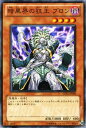 遊戯王カード 暗黒界の狂王 ブロン ストラクチャー デッキ デビルズ ゲート SD21 YuGiOh 遊戯王 カード 暗黒界の狂王ブロン 暗黒界 闇属性 悪魔族