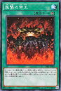 遊戯王カード 進撃の帝王 ストラクチャー デッキ 真帝王降臨 SR01 YuGiOh 遊戯王 カード 帝王 永続魔法