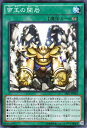 遊戯王カード 帝王の開岩 ストラクチャー デッキ 真帝王降臨 SR01 YuGiOh 遊戯王 カード 帝王 開岩 永続魔法