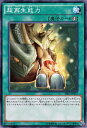 遊戯王カード 超再生能力 ストラクチャー デッキ 巨神竜復活 SR02 YuGiOh 遊戯王 カード 速攻魔法