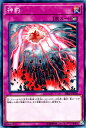 遊戯王カード 神罰 ストラクチャー デッキ 神光の波動 SR05 YuGiOh 遊戯王 カード カウンター罠