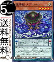 遊戯王カード 魔導獣 メデューサ(ノーマル) ロード オブ マジシャンSR08 Yugioh 遊戯王 カード ストラクチャーデッキR マジックビースト ペンデュラム 効果モンスター 光属性 魔法使い族 ノーマル