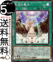 遊戯王カード 天空の聖水 シークレットレア ロスト・サンクチュアリSR12 Yugioh! | 遊戯王 カード ストラクチャーデッキR 通常魔法 シークレット レア