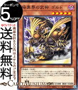 遊戯王カード 暗黒界の武神 ゴルド(ノーマル) ストラクチャーデッキR デビルズ ゲート SR13 Yugioh 遊戯王 カード 効果モンスター 闇属性 悪魔族 ノーマル