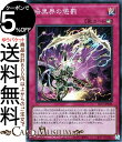 遊戯王カード 暗黒界の懲罰(スーパーレア) ストラクチャーデッキR デビルズ・ゲート SR13 Yugioh! | 遊戯王 カード カウンター罠 スーパー レア