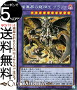 遊戯王カード 暗黒界の龍神王 グラファ(シークレットレア) ストラクチャーデッキR デビルズ ゲート SR13 Yugioh 遊戯王 カード 融合 効果モンスター 闇属性 悪魔族 シークレット レア