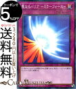 遊戯王カード 聖なるバリア −ミラーフォース−(ノーマルパラレル) スターターデッキ2019 ST19 Yugioh 遊戯王 カード 通常罠 ノーマルパラレル