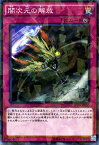 遊戯王カード 闇次元の解放 ノーマルパラレル ブースター SP デステニー・ソルジャーズ SPDS YuGiOh! | 遊戯王 カード パラレル 永続罠