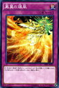 遊戯王カード 鳳翼の爆風 ブースター SP フュージョン・エンフォーサーズ SPFE YuGiOh! | 遊戯王 カード 通常魔法