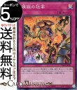 遊戯王カード 煉獄の狂宴(スーパーレア) TERMINAL WORLD(TW01) | ターミナルワールド 通常罠 スーパー レア