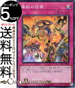 遊戯王カード 煉獄の狂宴(スーパーレア パラレル仕様) TERMINAL WORLD(TW01) | ターミナルワールド 通常罠 スーパー レア パラレル仕様