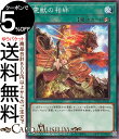 遊戯王カード 霊獣の相絆(ノーマル) TERMINAL WORLD(TW01) | ターミナルワールド 速攻魔法 ノーマル