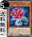 遊戯王カード クリスタル・ローズ(ノーマルパラレル) TERMINAL WORLD 2(TW02) | ターミナルワールド 効果モンスター 光属性 岩石族