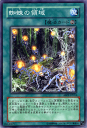 遊戯王カード 蜘蛛の領域 アブソリュート・パワーフォース ABPF YuGiOh! | 遊戯王 カード 蜘蛛の領域 永続魔法