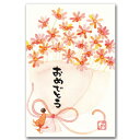 マエダタカユキ・メッセージ入りポストカード「おめでとう」