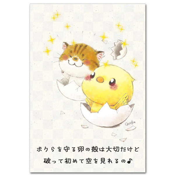 Summer - 今日もいい天気ポストカード「卵の殻」応援メッセージ 絵葉書