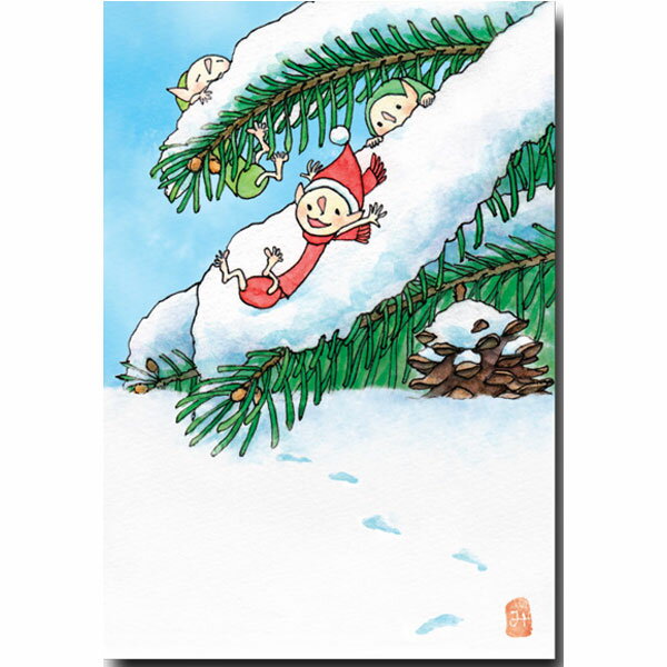 小川みほこ・花の絵葉書「もみの木」