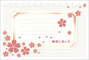 引越はがきポストカード 4枚入(郵便はがき)レースと桜 72052