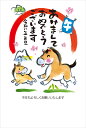 令和8年(2026年)用 午年 パック年賀状 フルカラー年賀状(3枚入り) TJ640