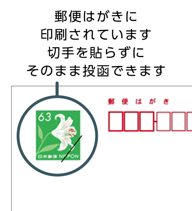 引越はがきポストカード 4枚入(郵便はがき)北欧風デザインの本棚 72315