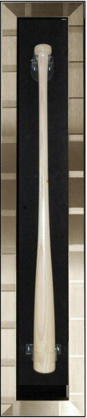 バットケース UVプロテクト仕様 シルバー、マット黒 | Baseball Bat Case Silver Frame Black Matt