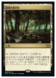 【MTG】(JPN) 禁忌の果樹園(2X2) 地◇レア