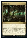 【MTG】(JPN) 禁忌の果樹園(2X2) 地◇レア