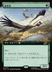 楽天市場】極楽鳥mtgの通販