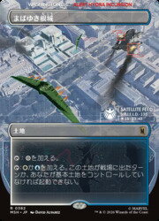楽天市場】根市寛貴（トレーディングカード・テレカ｜コレクション